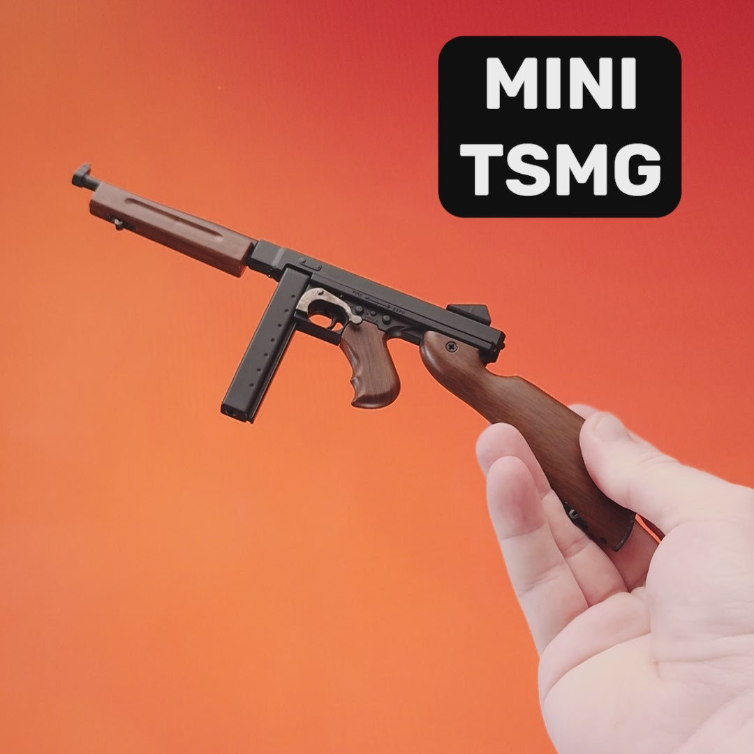 TSMG Model