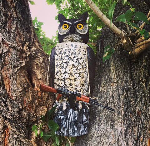 owl with miniature ak47 model